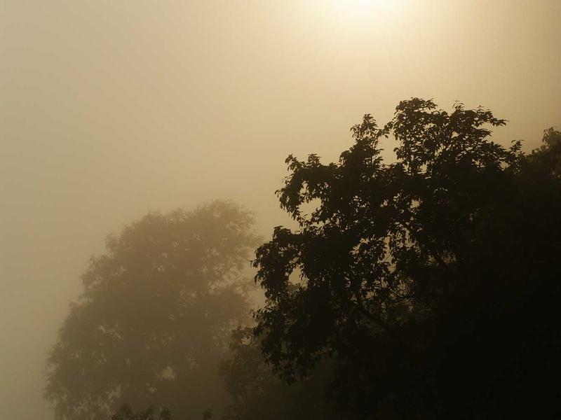 Envoltura Corporal La Romana